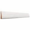 Cheap 👏 ReliaBilt Window & Door Moulding 11/16-in x 2-1/4-in 2-1/4-in x 10-ft Primed Wood Casing 🤩