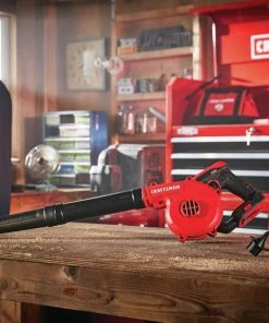 Coupon 🎁 CRAFTSMAN Jobsite Blowers 20-volt Max Jobsite Blower (Tool Only) ⭐ -Craftsman Official Shop 12114972