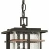 Brand new 🌟 Minka Lavery Pendant Lighting San Marcos Black with Antique Copper Accents Craftsman Clear Glass Linear Outdoor Pendant Light 🌟